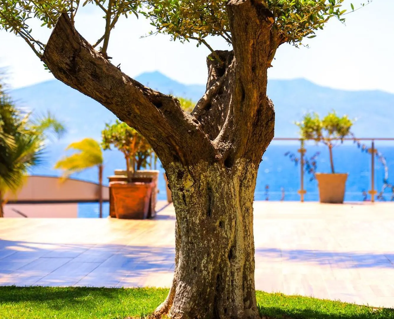 Hotel Apollon Sarande (Adults Only) 4*,